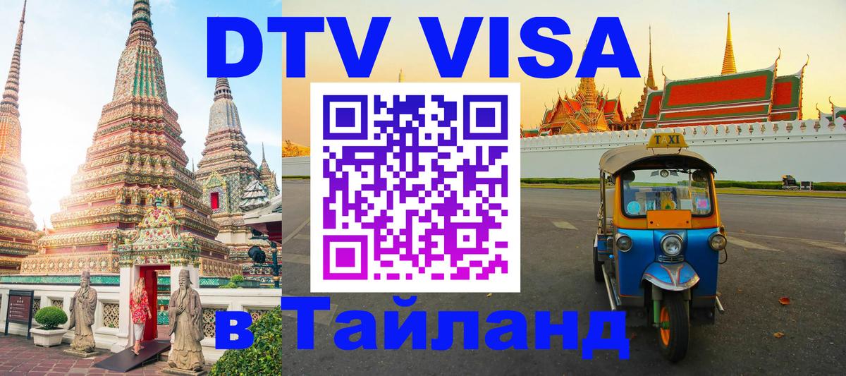 Оформление DTV визы под ключ: стоимость и тарифы, только загранпаспорт - 18.11.2025 
